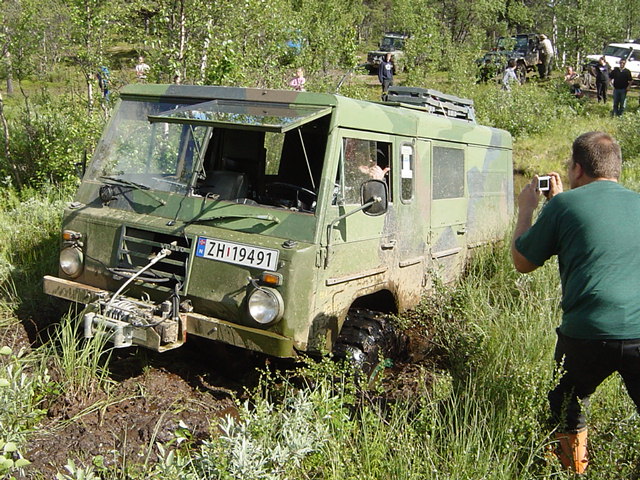 kiruna_denna_stod_til_knes_i_myra__vinsja_seg_opp_.jpg (large)
